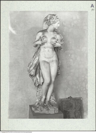 Vorderseite von Sopr. BAS Fi [https://www.deutsche-digitale-bibliothek.de/content/lizenzen/rv-ez/] "Terra" - Gesamtansicht von vorn, bh478522_recto. Foto.