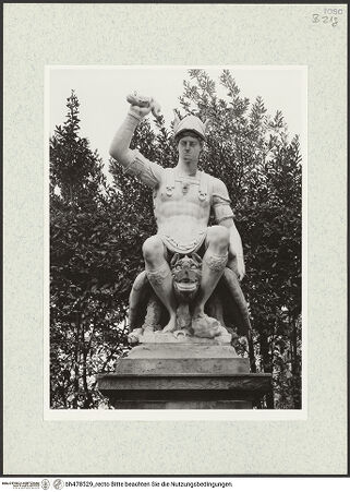 Vorderseite von bh478529_recto