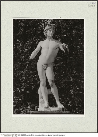 Vorderseite von bh478535_recto