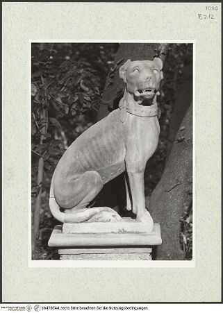 Vorderseite von bh478544_recto