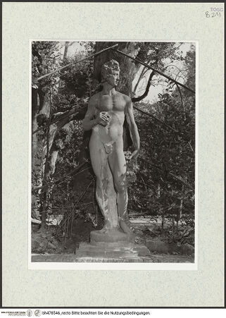 Vorderseite von bh478546_recto