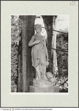 Vorderseite von bh478547_recto