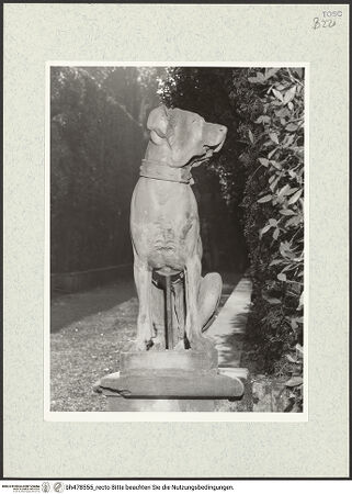 Vorderseite von bh478555_recto