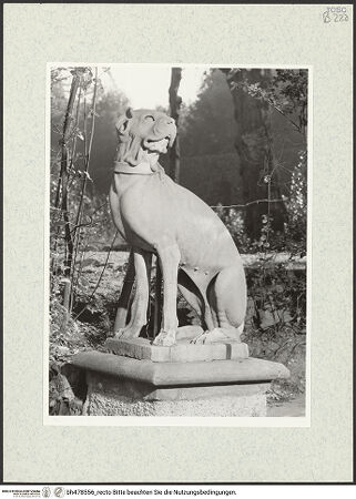 Vorderseite von bh478556_recto