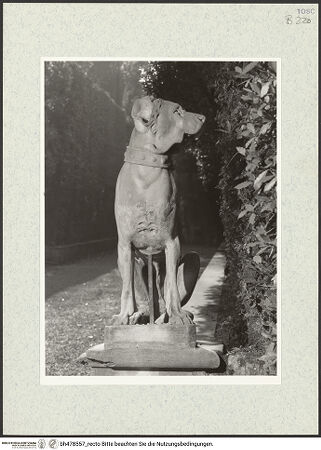 Vorderseite von bh478557_recto