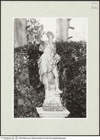 Vorderseite von bh478585_recto