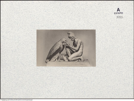 Vorderseite von bh478696_recto