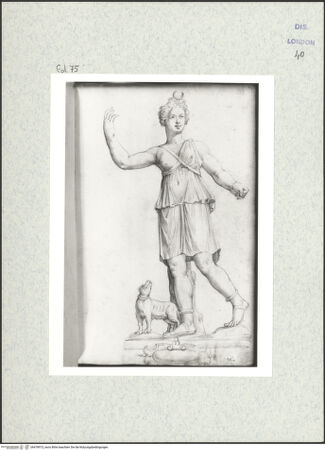 Vorderseite von bh478973_recto