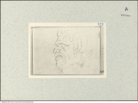 Vorderseite von bh479449_recto