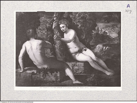 Vorderseite von bh479453_recto