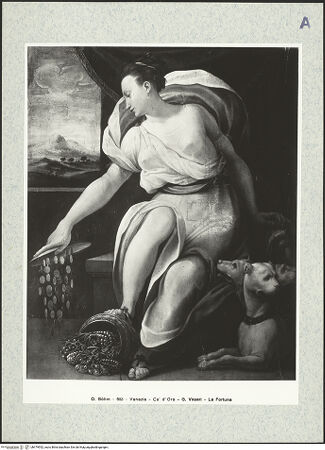 Vorderseite von bh479552_recto