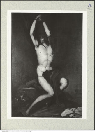 Vorderseite von bh479568_recto