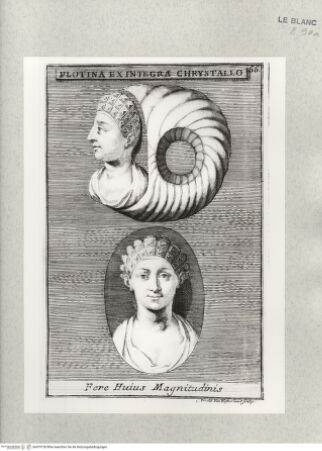 Vorderseite von Istituto Nazionale per la Grafica [http://creativecommons.org/publicdomain/mark/1.0/] Antike Objekte aus dem Museum des Mario Piccolomini, RomTafel 66: Kristallring mit Frauenkopf aus dem Geschlecht der Plautier: Plotina Ex Integra Chrystallo - , bh479728. Foto.