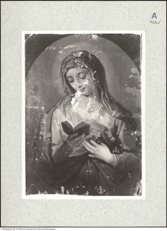 Vorderseite von bh479939_recto