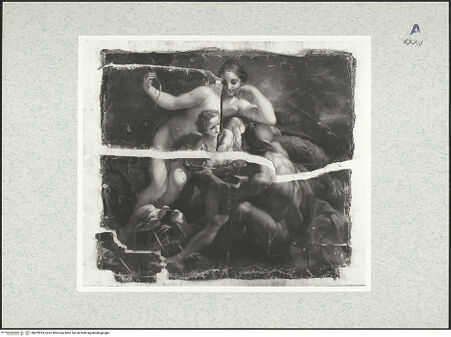 Vorderseite von bh479953_recto