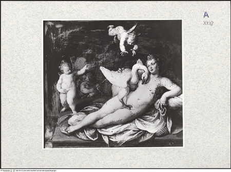 Vorderseite von bh479975_recto