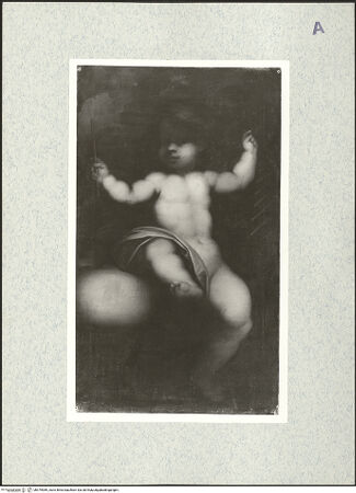 Vorderseite von bh479989_recto