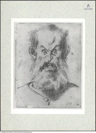 Vorderseite von bh480075_recto