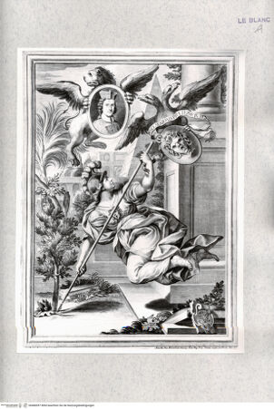Vorderseite von Istituto Nazionale per la Grafica [http://creativecommons.org/publicdomain/mark/1.0/] Allegorie auf den Kardinal Pietro Ottoboni, Neffe Papst Alexanders VIII., mit Minerva, die einen Olivenbaum aus ihrer Lanze wachsen lässt - , bh480097. Foto.