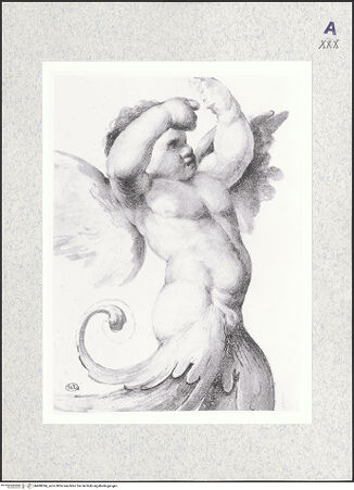 Vorderseite von bh480384_recto