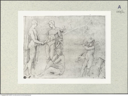 Vorderseite von bh480391_recto