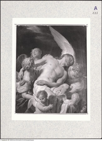 Vorderseite von bh480449_recto