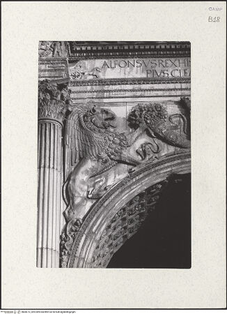 Vorderseite von Bibliotheca Hertziana [https://www.deutsche-digitale-bibliothek.de/content/lizenzen/rv-fz/] Triumphbogen Alfonsos VEingangsbogen: DekorationAragon-Wappen mit flankierenden Greifen und Füllhörnern - Detail: linker Greif, bh480715_recto. Foto: Digerud, Jan.