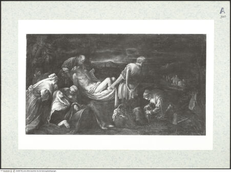 Vorderseite von bh480758_recto