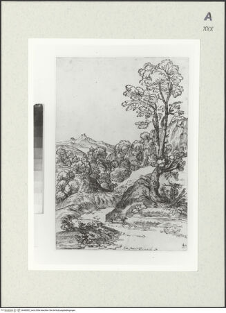 Vorderseite von bh480852_recto