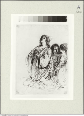 Vorderseite von bh480866_recto