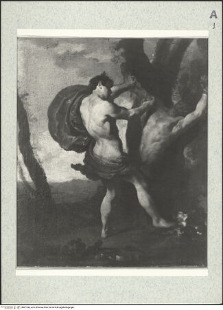 Vorderseite von bh481244_recto