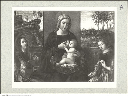 Vorderseite von bh481255_recto