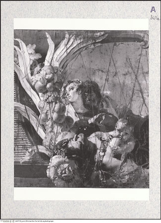 Vorderseite von bh481326_recto