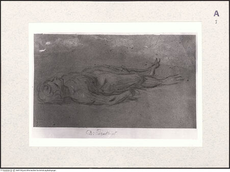 Vorderseite von bh481334_recto