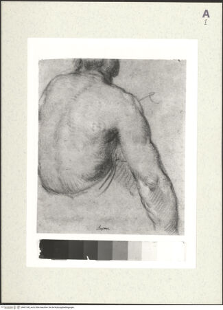 Vorderseite von bh481340_recto