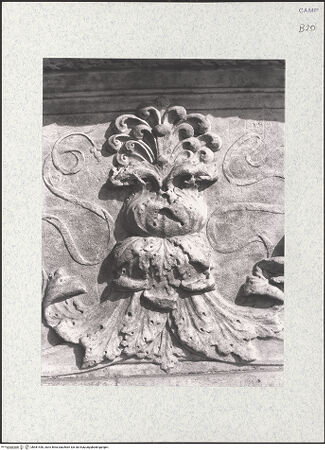 Vorderseite von Bibliotheca Hertziana [https://www.deutsche-digitale-bibliothek.de/content/lizenzen/rv-fz/] Triumphbogen Alfonsos VLinker Sockel - Maskenfries, Detail: Blattornament, bh481440_recto. Foto.