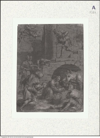 Vorderseite von bh481492_recto