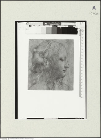 Vorderseite von bh481504_recto