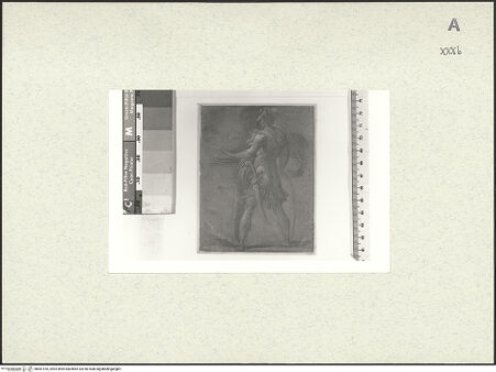 Vorderseite von bh481516_recto