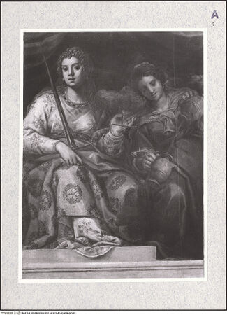 Vorderseite von bh481530_recto