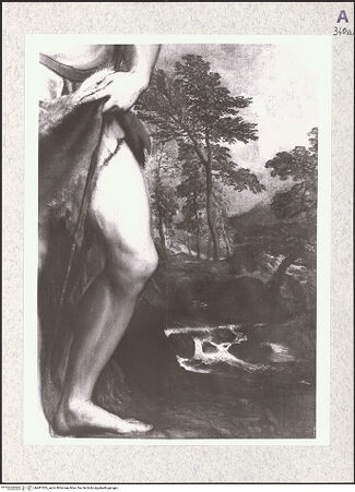 Vorderseite von bh481535_recto