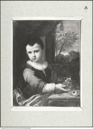 Vorderseite von bh481558_recto