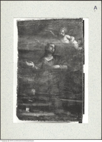 Vorderseite von Pinacoteca Civica e Museo Malatestiano [https://www.deutsche-digitale-bibliothek.de/content/lizenzen/rv-ez/] Heilige Agnes - , bh481567_recto. Foto.