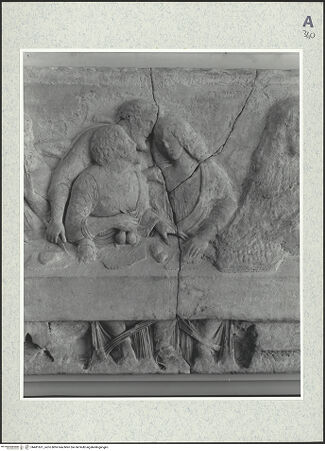 Vorderseite von bh481631_recto