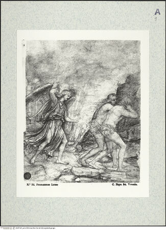 Vorderseite von bh481647_recto