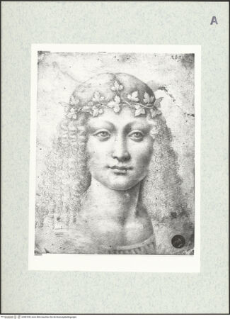 Vorderseite von bh481650_recto