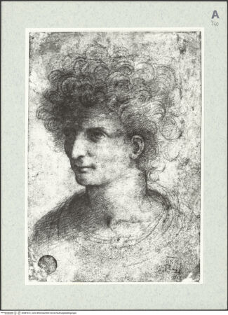 Vorderseite von bh481651_recto