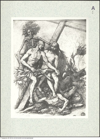 Vorderseite von bh481662_recto