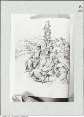 Vorderseite von bh481719_recto