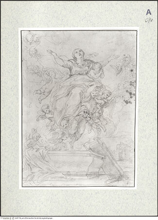 Vorderseite von bh481796_recto